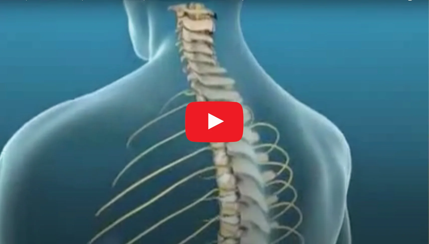 Health Guide Video